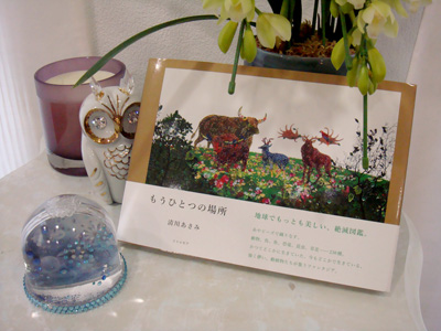 kiyokawa-asami-5.JPG