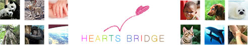 HEARTS BRIDGE
